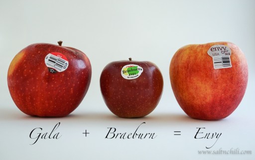 saltnchili_envy_apple_4