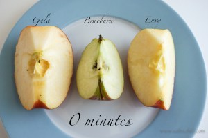 saltnchili_envy_apple_5b