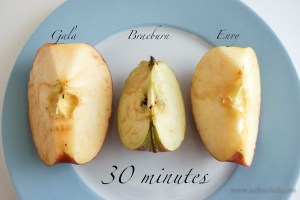 saltnchili_envy_apple_6b