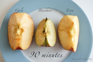 saltnchili_envy_apple_7b