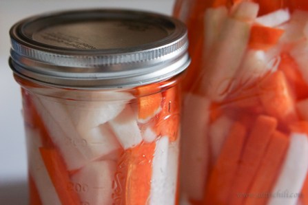 saltnchili_pickled_daikon_5