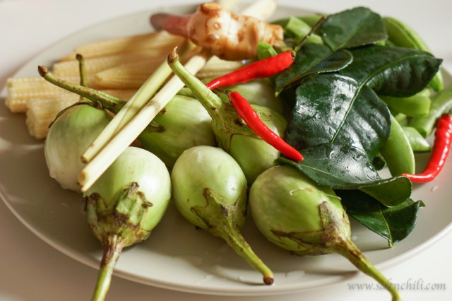 saltnchili_thai_green_curry_ingredients