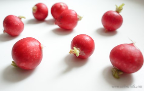 Radish & Cucumber Salad