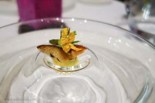 Tosca Degustation Menu