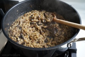 Porcini Risotto